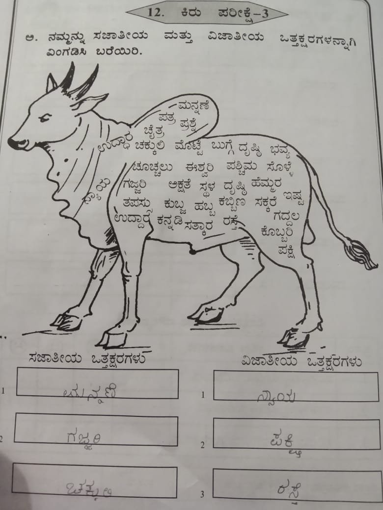 WhatsApp Image 2024-09-18 at 19.42.44